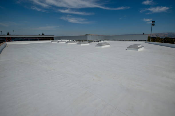 Best Commercial Roofing Services  in Altavista, VA