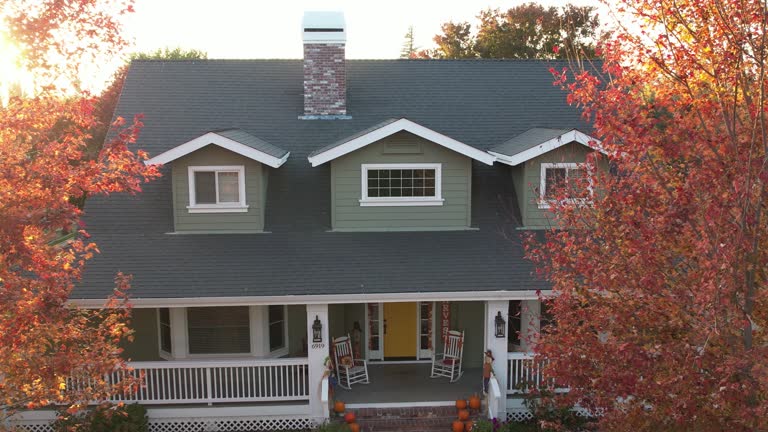 Best Sheet Metal Roofing  in Altavista, VA