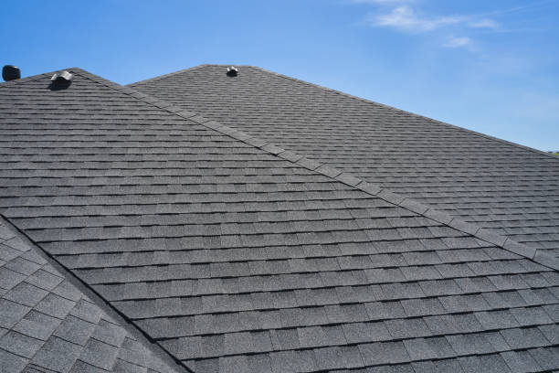 Best Rubber Roofing (EPDM, TPO)  in Altavista, VA